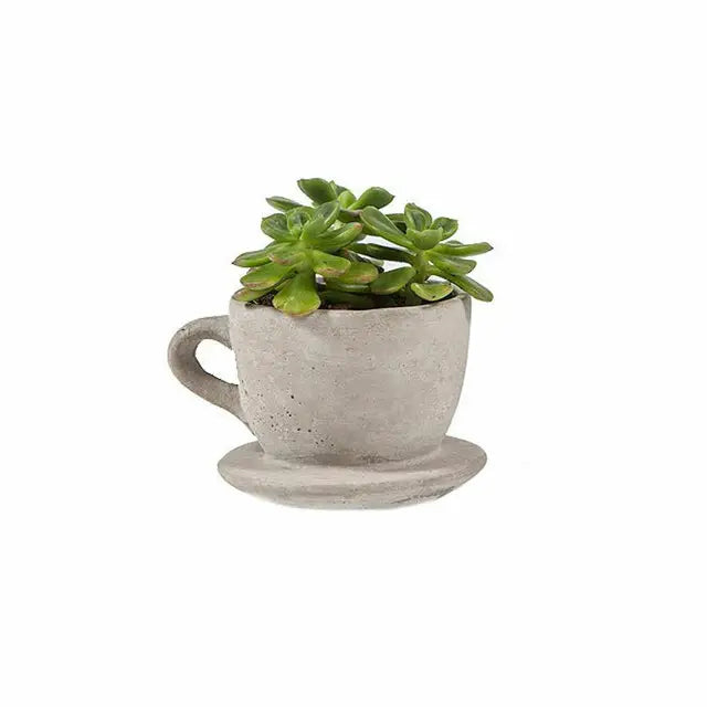 The Cottage Teacup | Concrete Planter