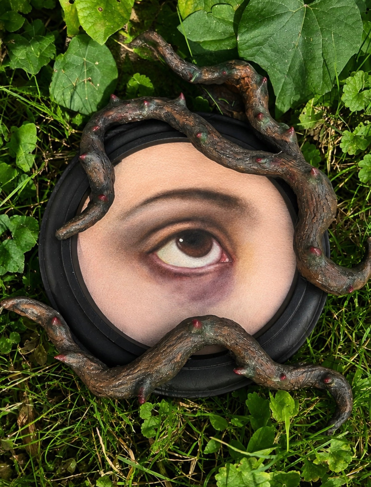 A circular black mirror or compact-like object lying on green grass and leaves, with a human eye painted on the reflective surface and dark vine-like branches wrapping around it.