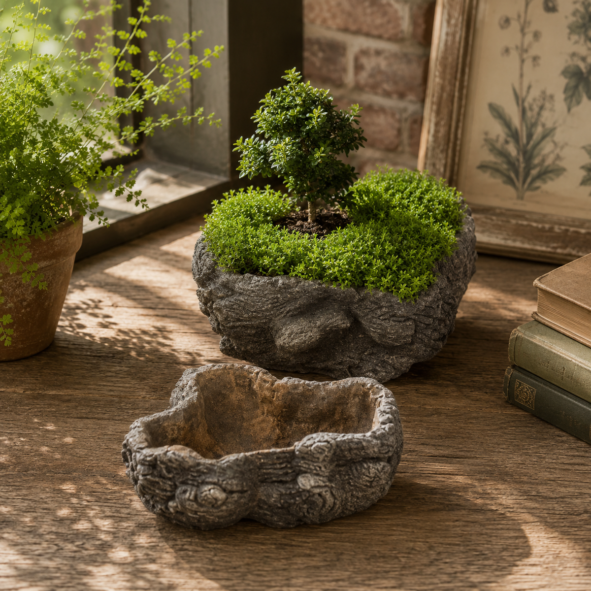 Enchanted Burlwood Cement Planter