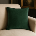 Velvet Throw Pillow
