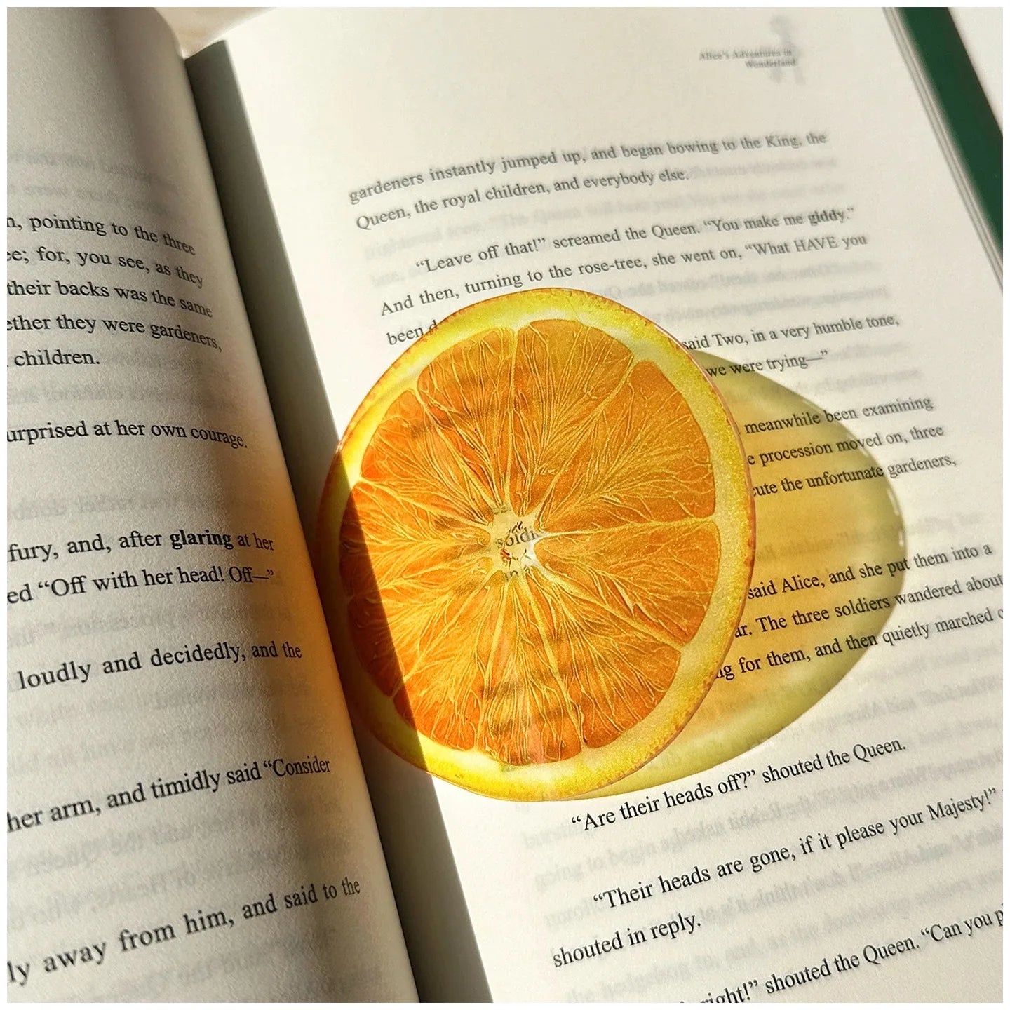 Sliced orange on an open book