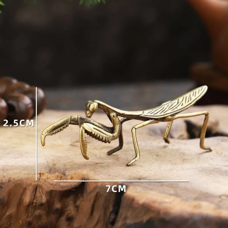 The Brass Mantis Curio