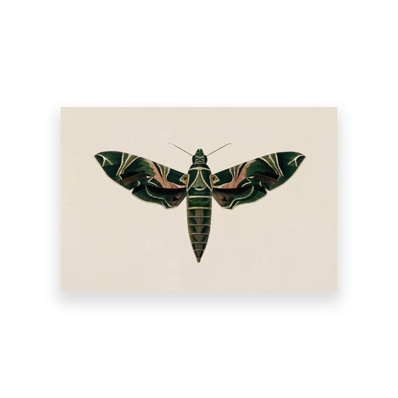 Vintage Woodland Canvas Art Collection