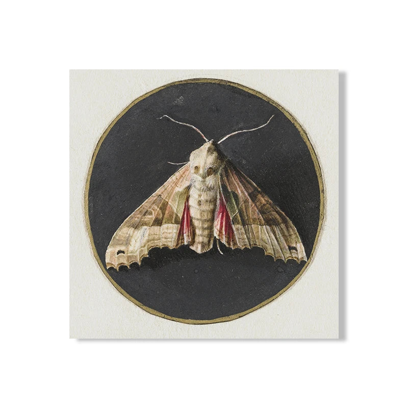 Vintage Woodland Canvas Art Collection