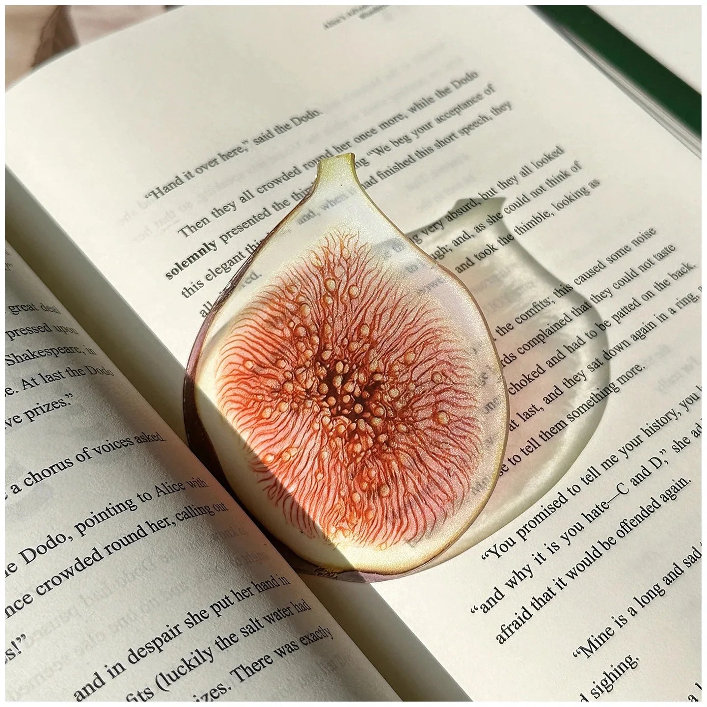 A translucent paper cutout of a halved fig with pinkish-red flesh and pale cream edges, placed on open book pages with printed text.