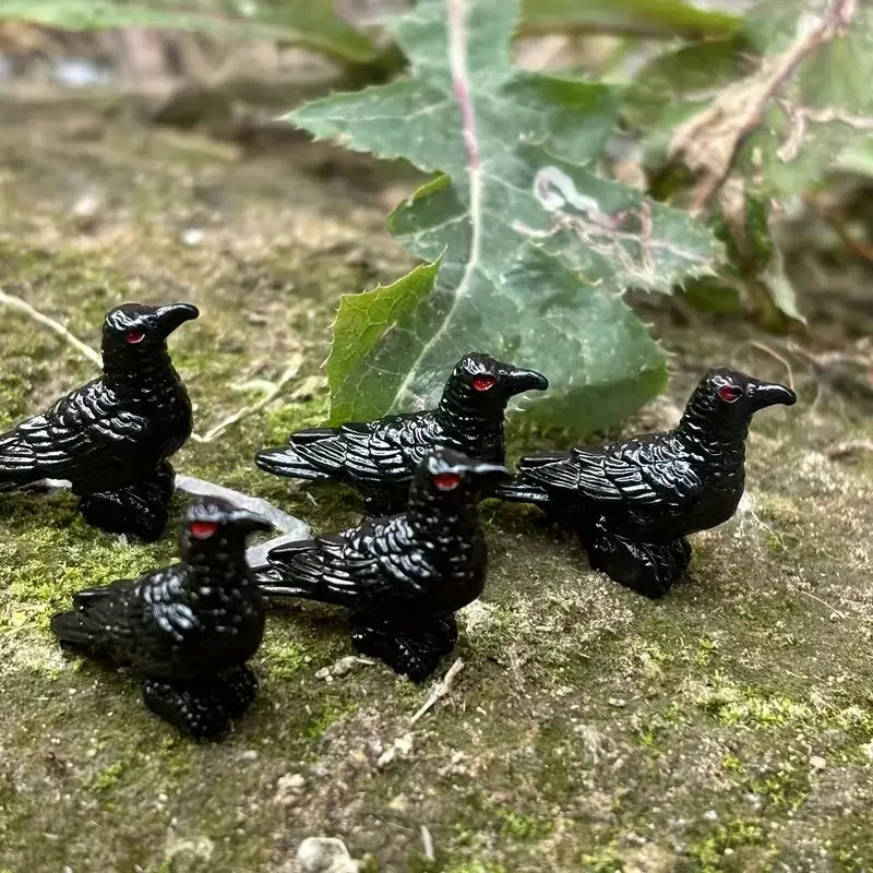 Tiny Crow Curios — Set of 5 or 10