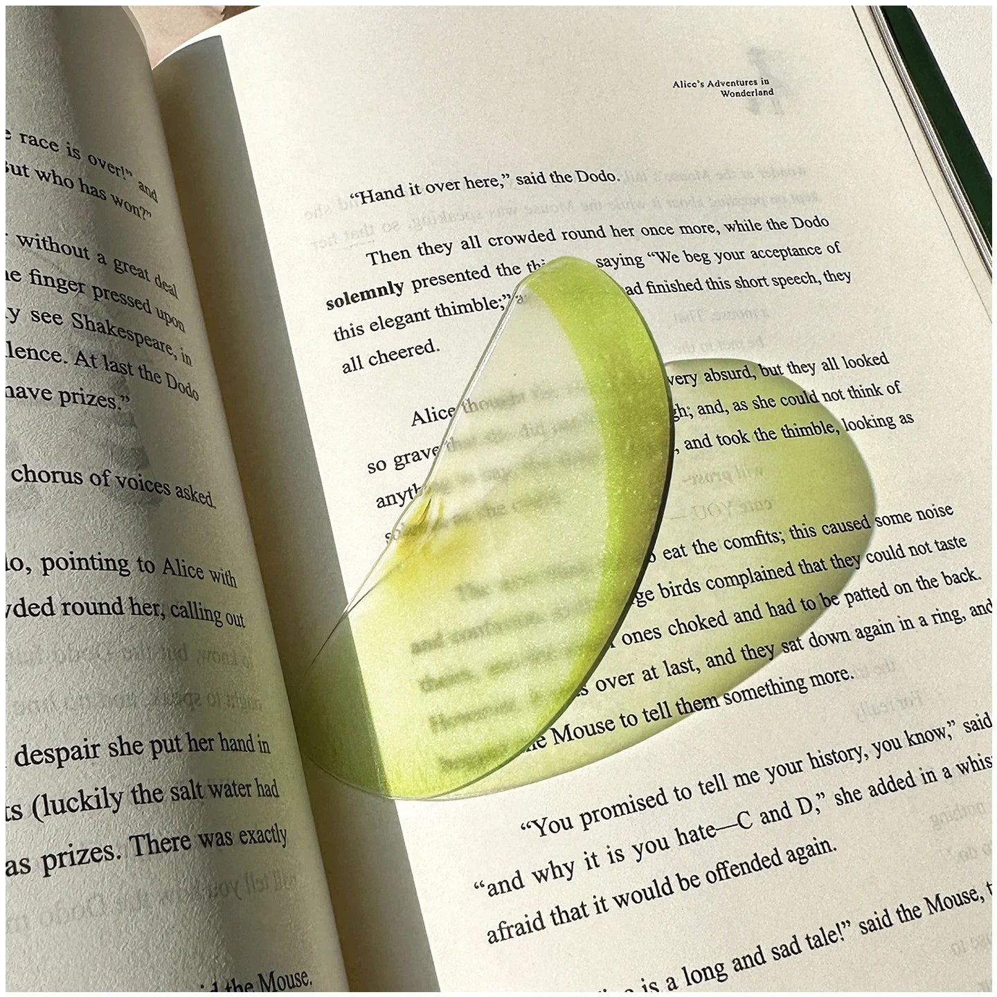 Acrylic Fruit Bookmark