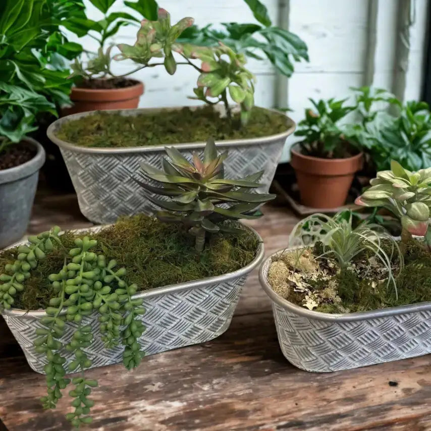 Vintage Basketweave Oval Planters – Set of 3