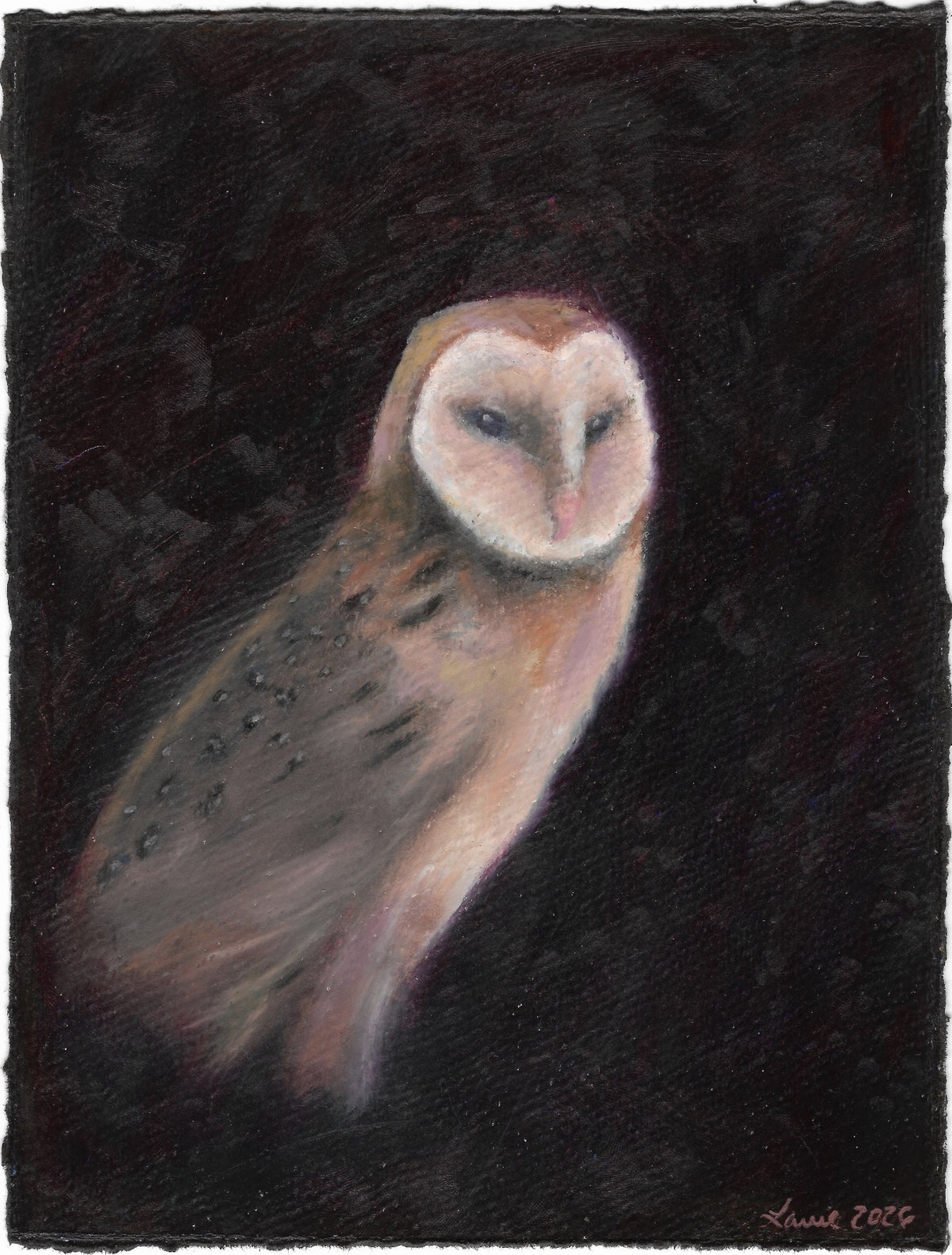 A dark, textured painting of a barn owl in profile against a very dark background, with soft white, beige, and brown tones in the owl and a small artist signature in the lower right corner.