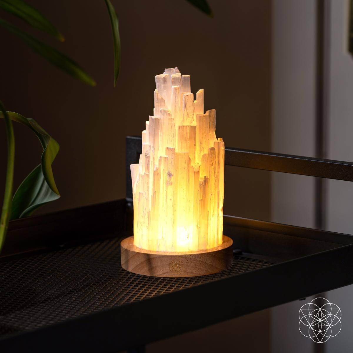 Moonveil | Natural Selenite Crystal Lamp