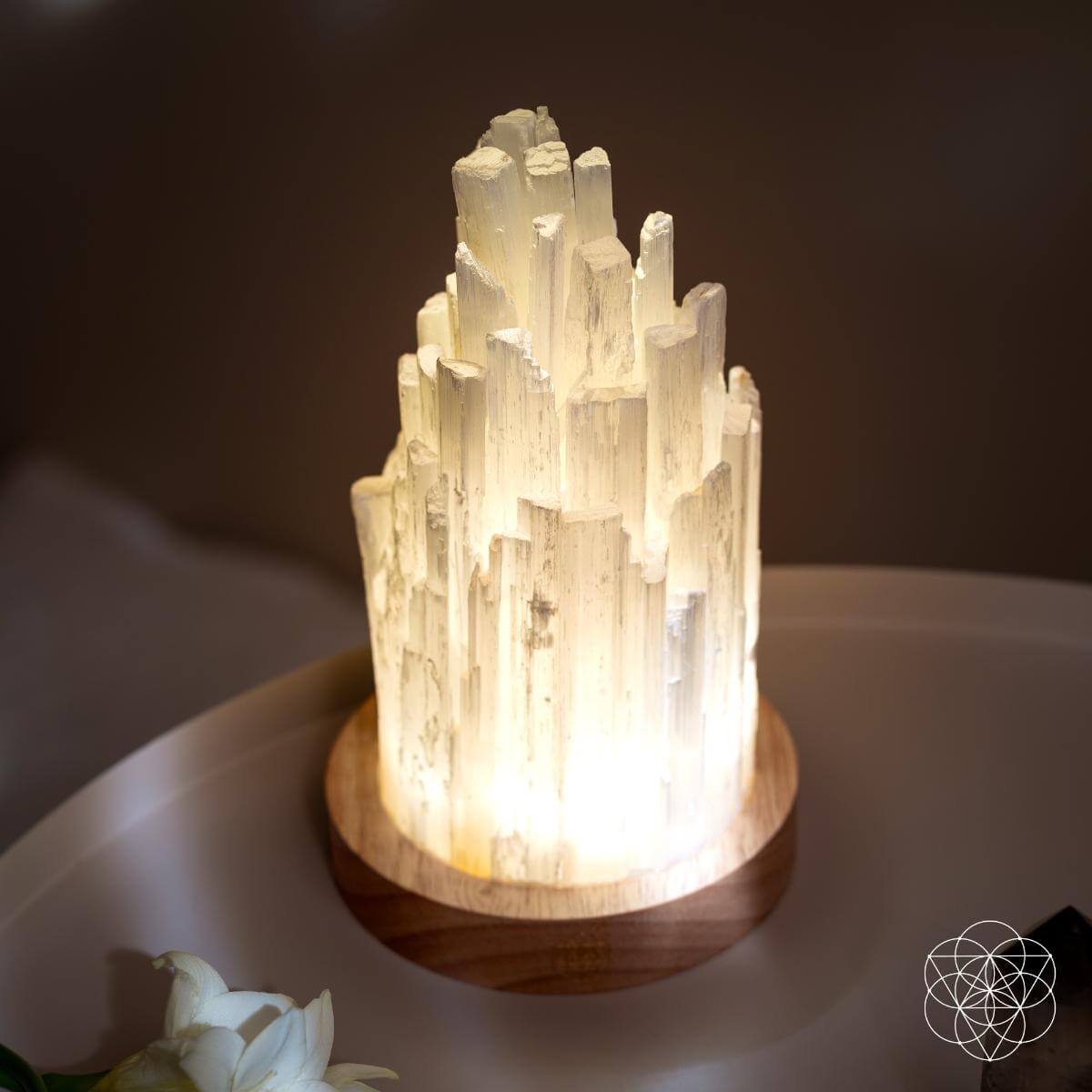 Moonveil | Natural Selenite Crystal Lamp